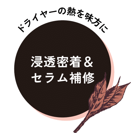 浸透密着＆セラム補修