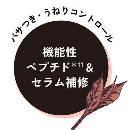 機能性ペプチド＆セラム補修